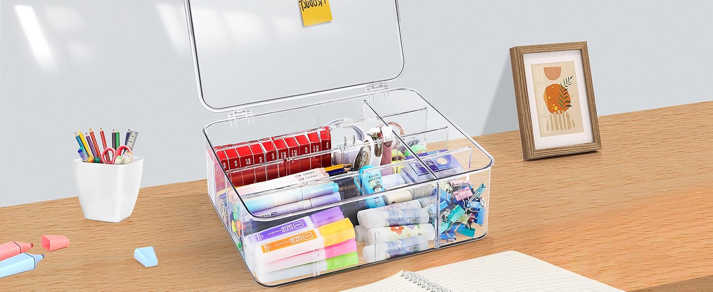underwear socks organizer