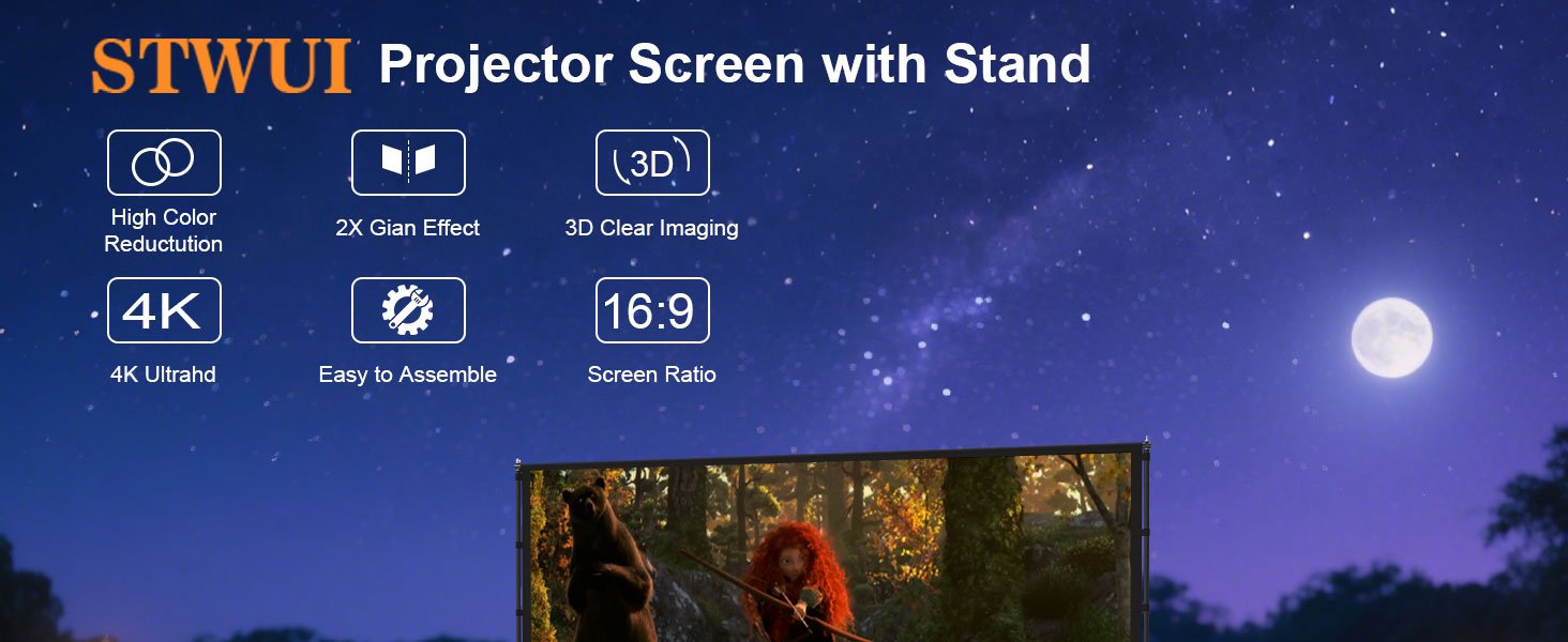 Projector Screen with Stand
