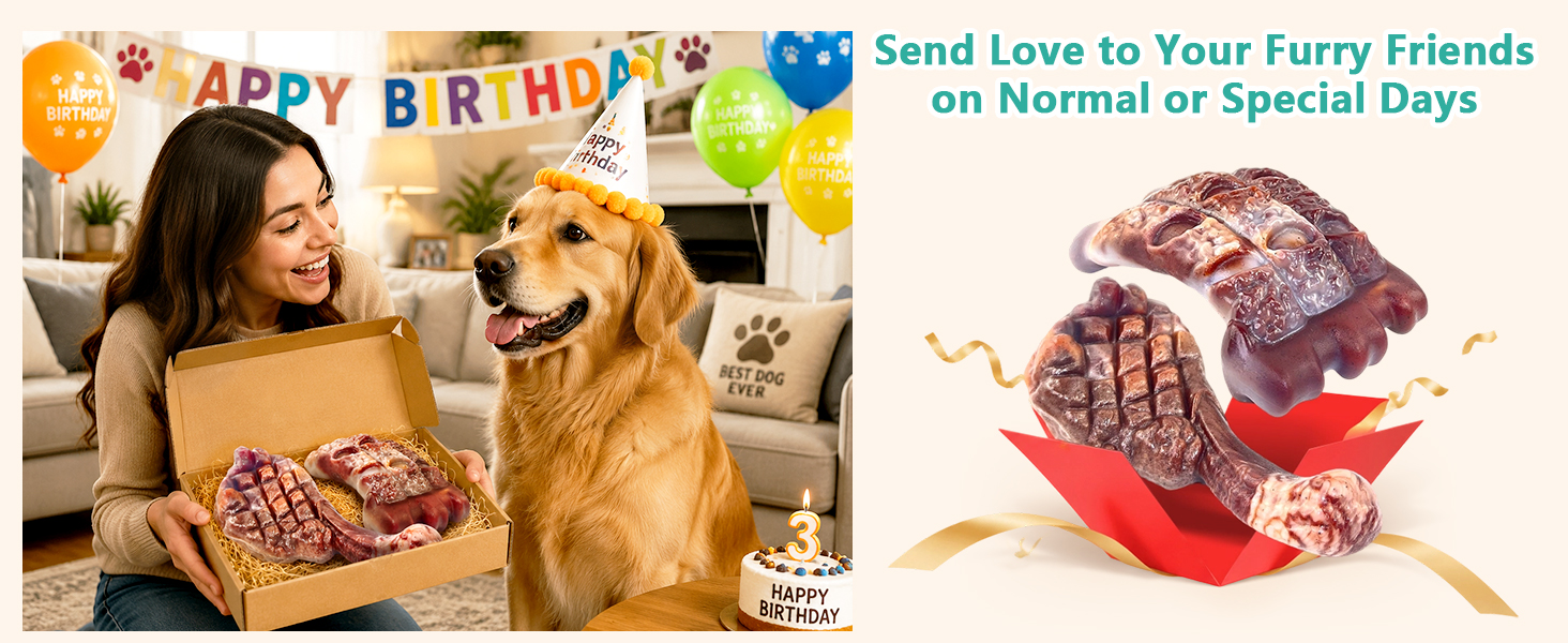 dog birthday toy