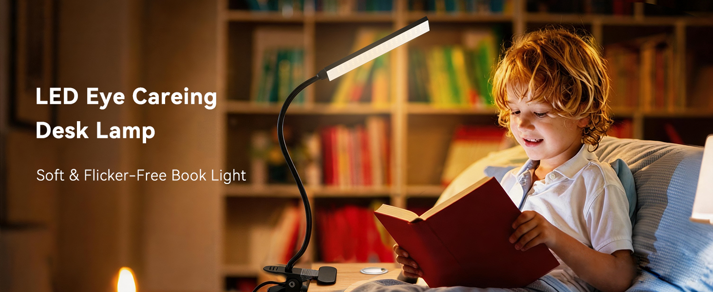 Clip On Desk Lamp