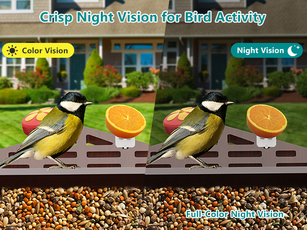 smart bird feeder with camera solar powered power wood wifi ai video live outdoor outside