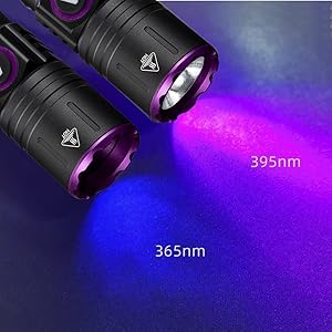 395nm Ultraviolet Ray