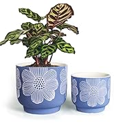 8 inch plant pot blue