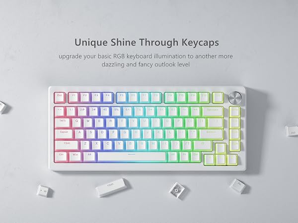 Pudding Keycaps, Shine Through Keycaps, PBT Keyboard Keycaps Set