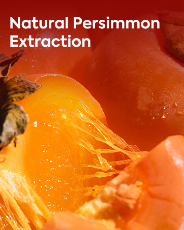 persimmon soap
