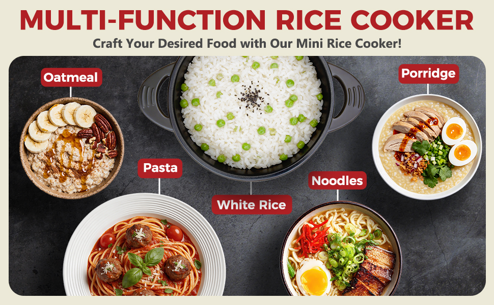 multi-function rice cooker