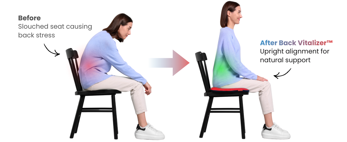 Back Vitalizer Lumbar Support Pillow