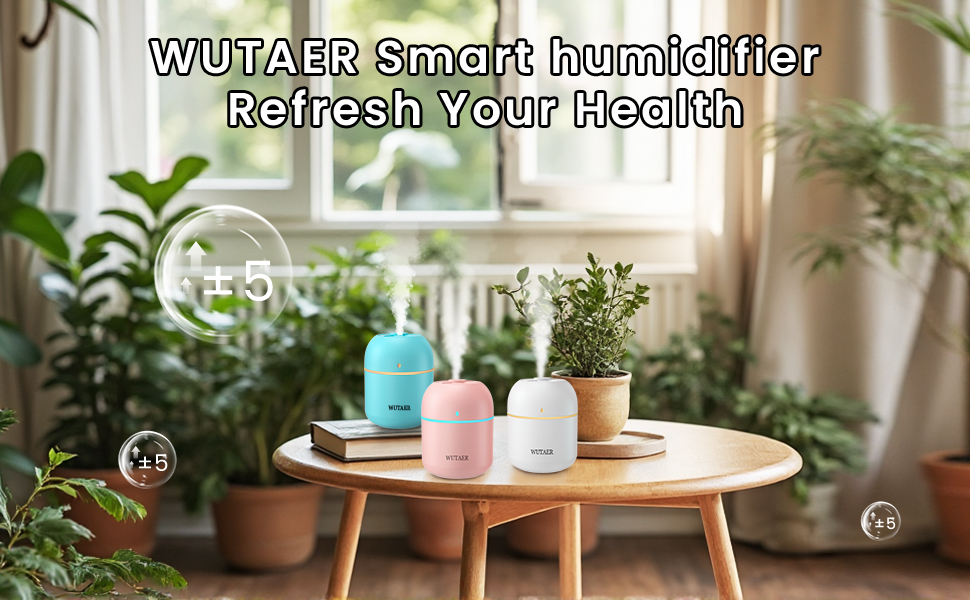 Portable Small Humidifier