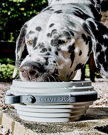 Cleverpup Nomad Collapsible Dog Bowls