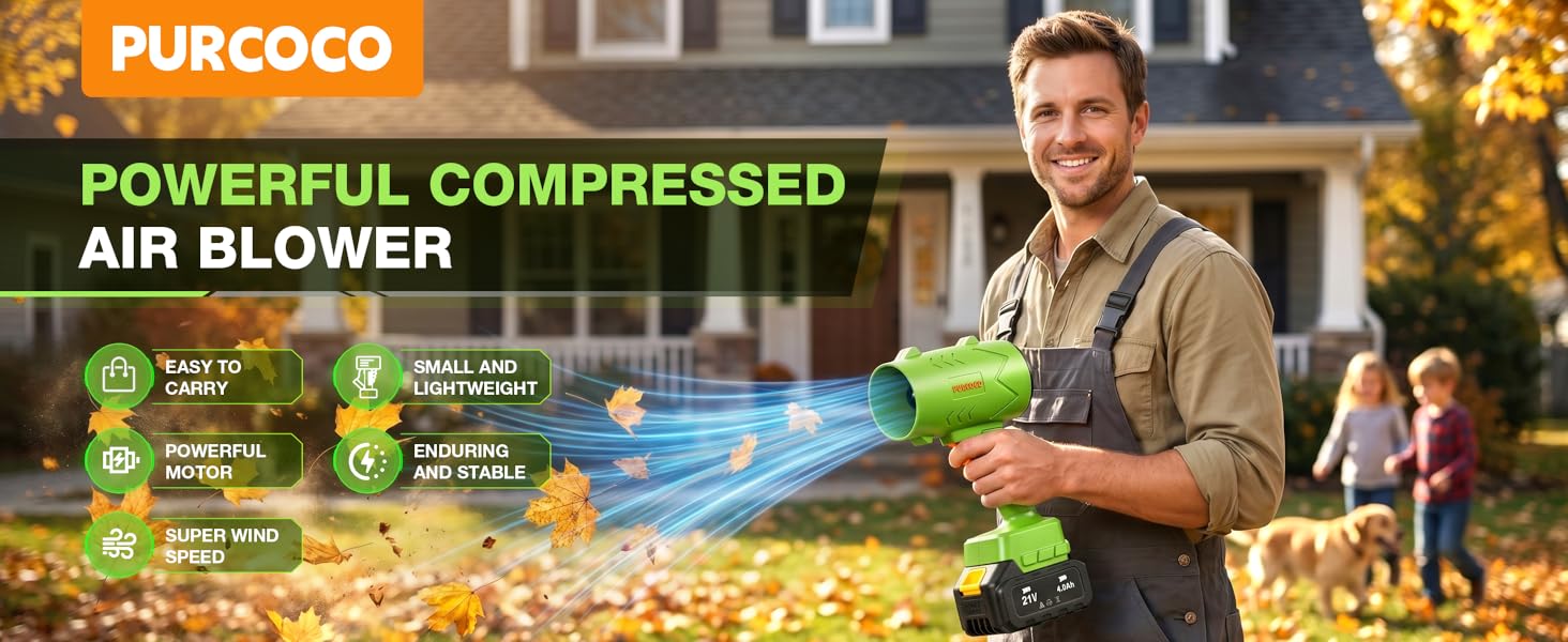 21V Cordless Leaf Blower