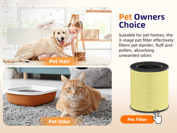 large room air purifier