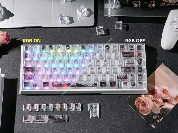 Clear Keycaps, Shine-Through Keycaps, Jelly Keycaps Cherry Profile Keycaps for Mechanical Keyboard