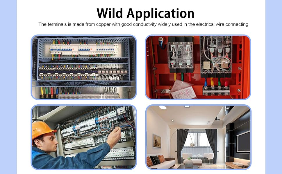 Wild Application