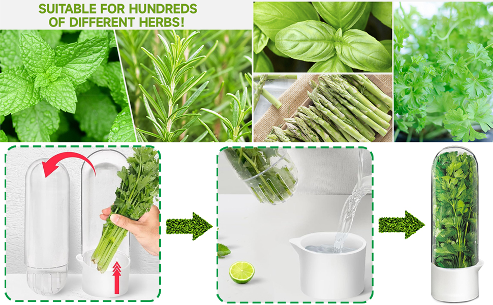 Fresh Herbs