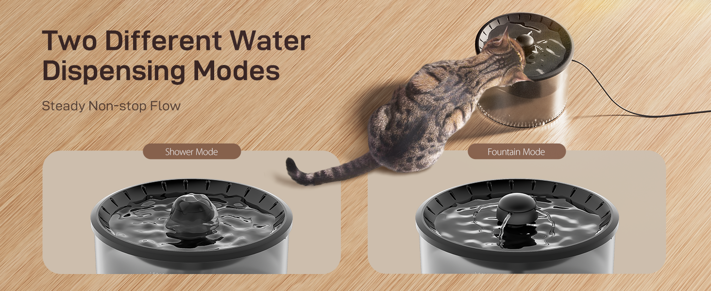 cat water and food dispenser