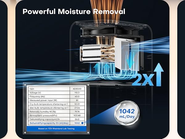 Dehumidifier