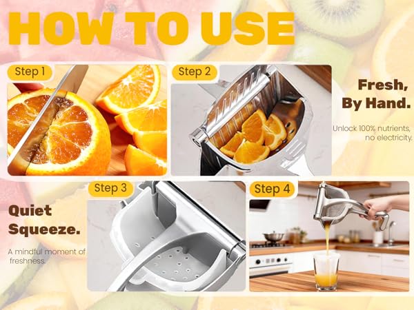 Fruit Juice Squeezer