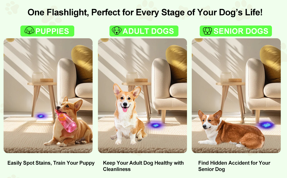 black light flashlight mini