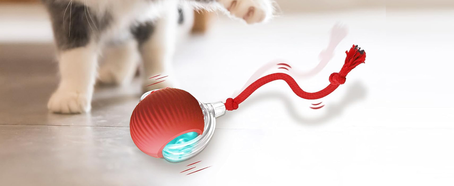 cat toy ball