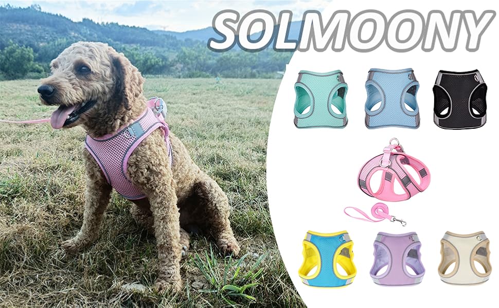 puppy harness