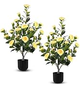 Hananona 2 Pcs Artificial Camellia Trees Faux Camellia Plant in Pot with Flowers Indoor Plants fo...