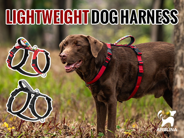 no pull dog harness