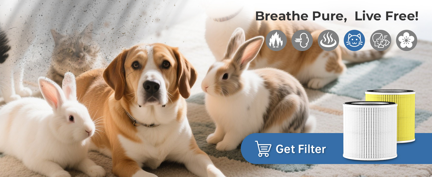 air purifiers for home pets