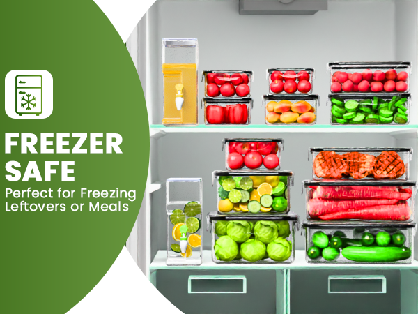 Freezer Safe Food containers
