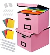 DECOSIS 2Pack File Storage Organizer with 10 Hanging Folders &amp; Plastic Slide, Collapsible Linen F...