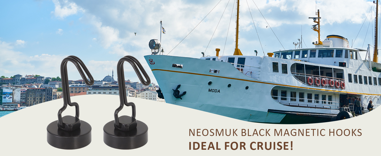 Neosmuk black swing magnetic hooks
