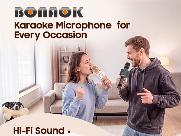 karaoke microphone