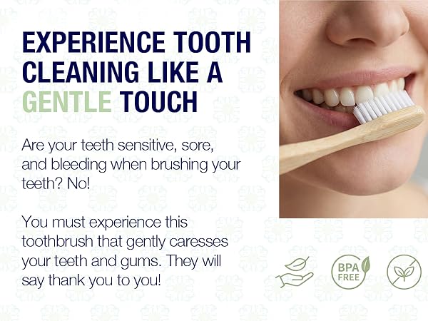 Toothbrush Adult