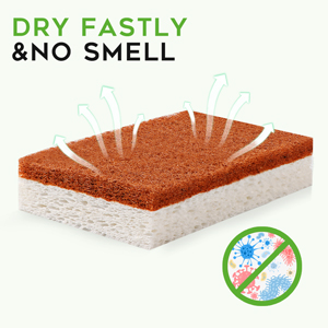 no smell sponge