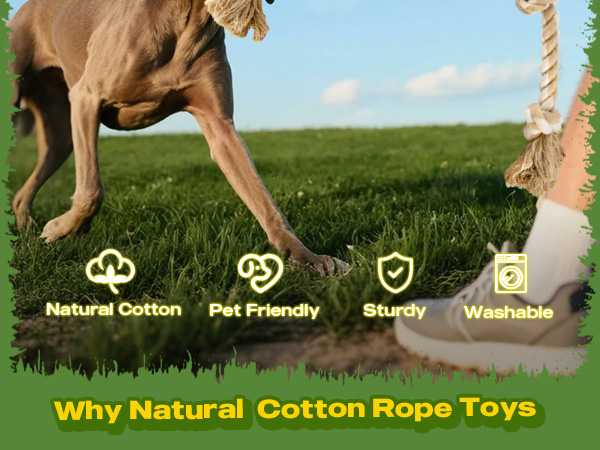 dog rope toys