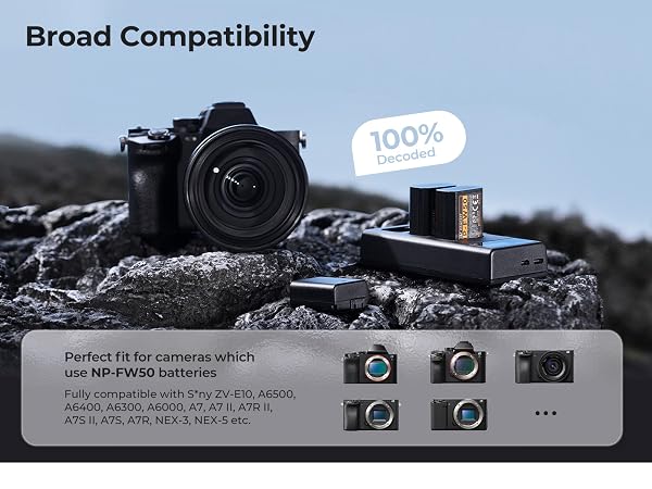 fit for cameras with npfw50 battery