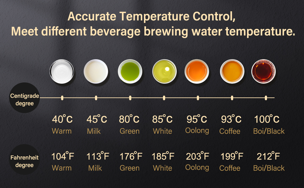 Gooseneck Electric Kettle