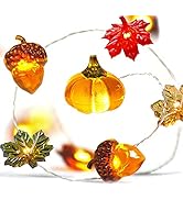 BOHON Thanksgiving Decoration Acorn 3D Pumpkin Maple Leaf String Lights Battery Operated with Rem...