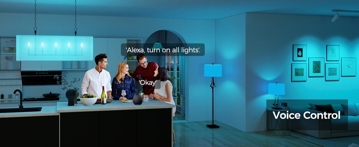 smart light bulbs e12