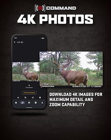 4K Photos