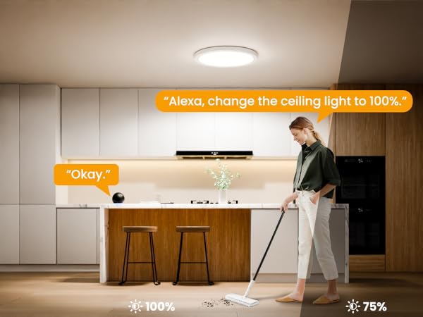Smart Ceiling Light