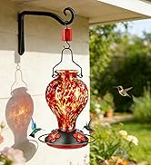 Tegarbed Hand Blown Glass Hummingbird Feeders for Outdoors Hanging