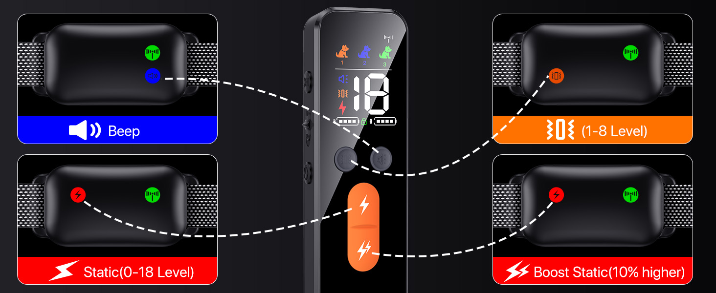 dog training collar with remote