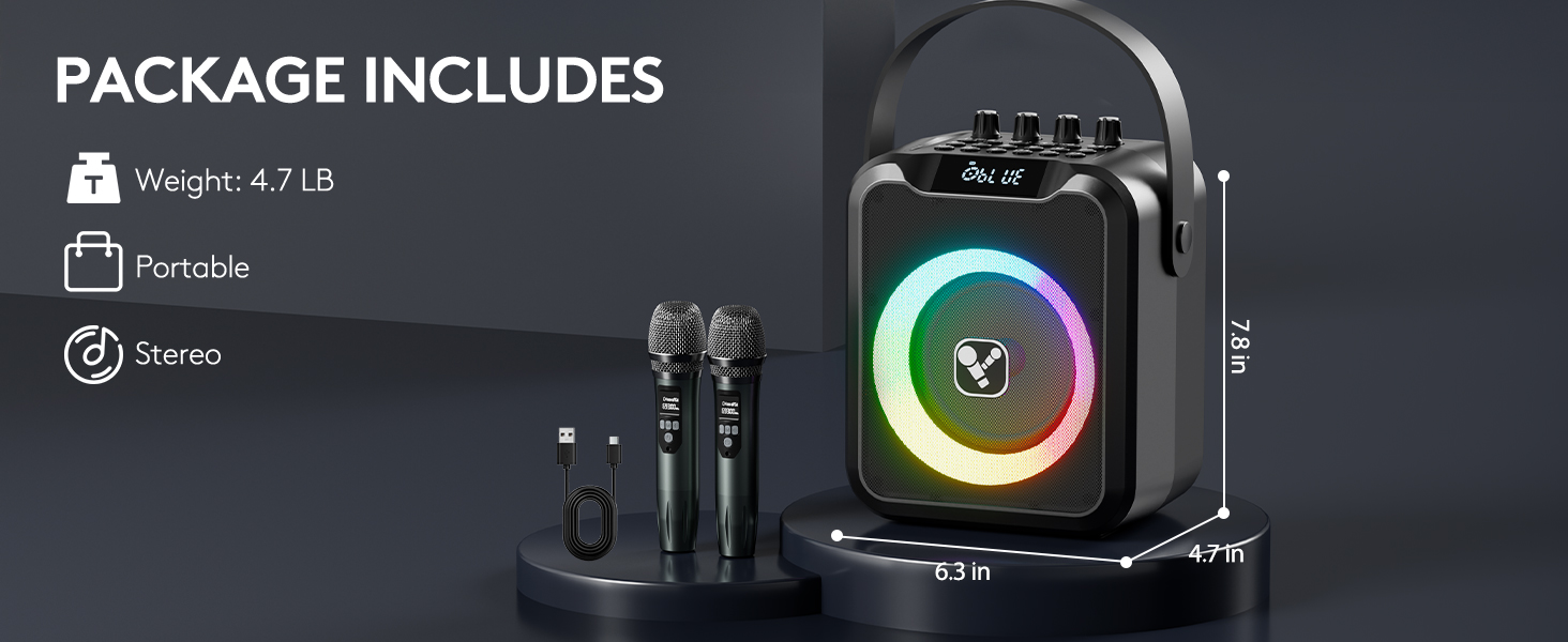 Portable Karaoke Machine