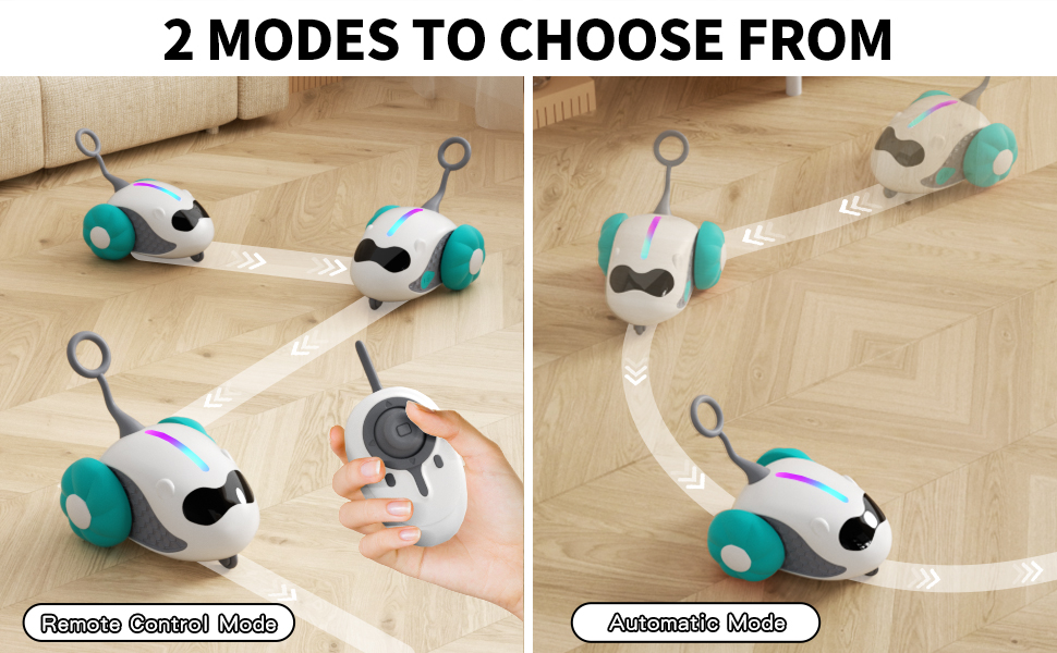 Remote Control Cat Toys