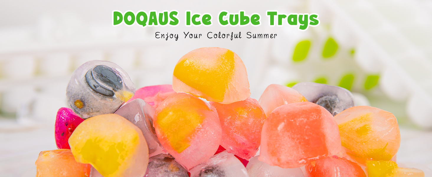 ice cube tray (1)