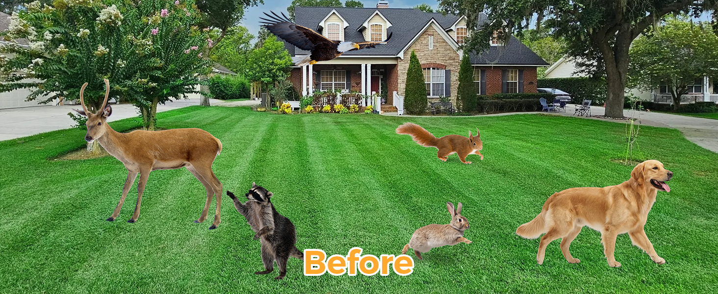 squirrel repellent