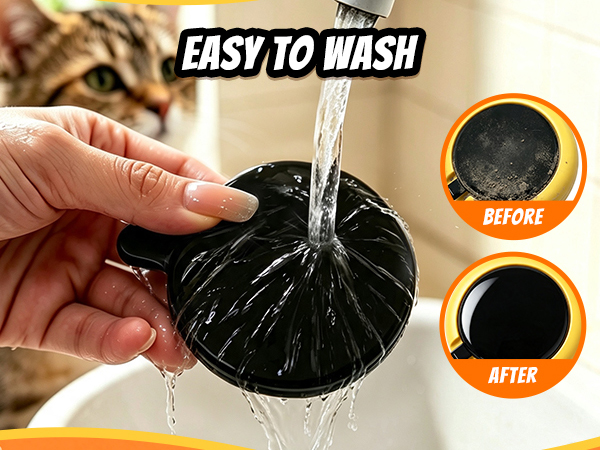 Interactive Cat Toys