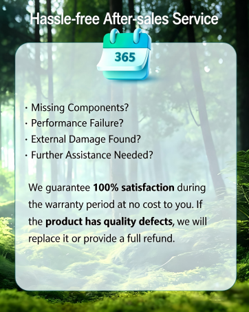 translating earbuds real time