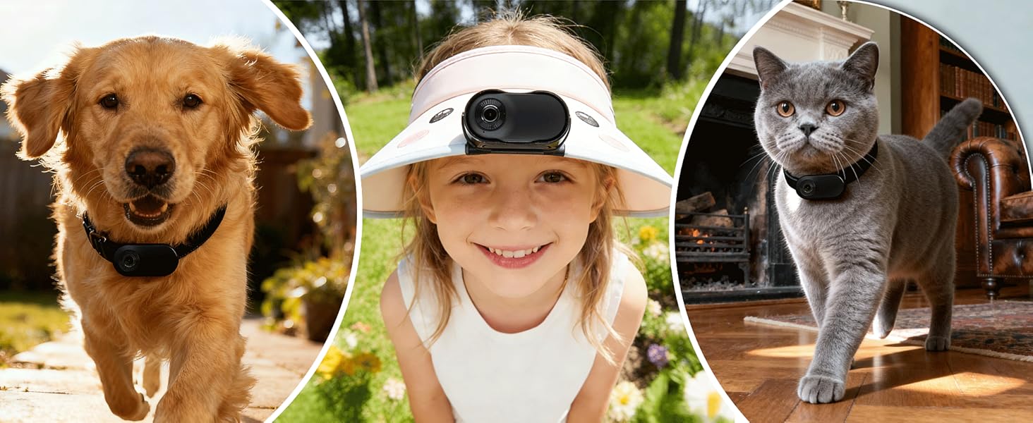 Collection of photos showing dogs and cats, appearing to be pet-related service or product marketing images.