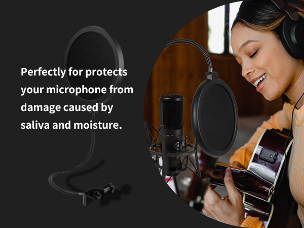 pop filter for microphone